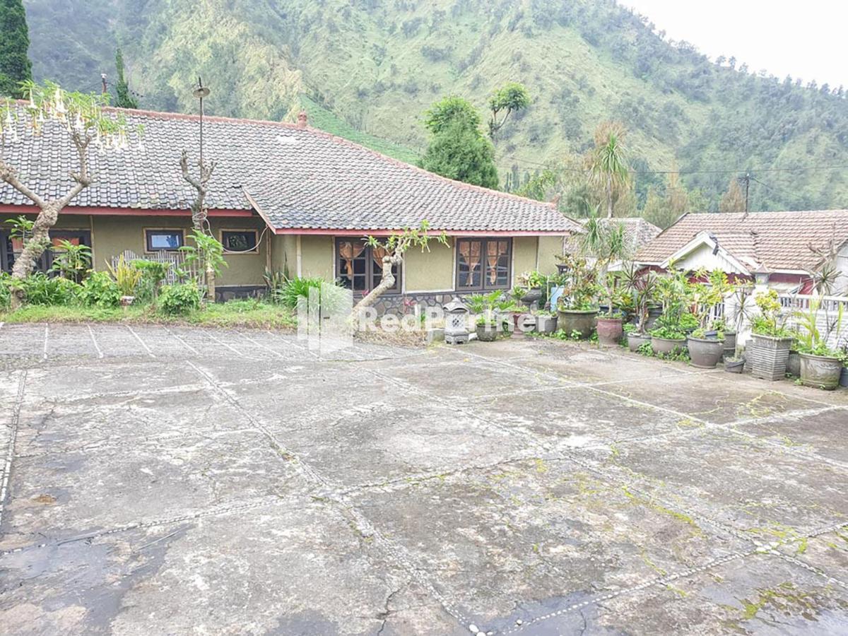 Hotel Yoschi's Bromo at Desa Wisata Bromo Ngadisari Esterno foto