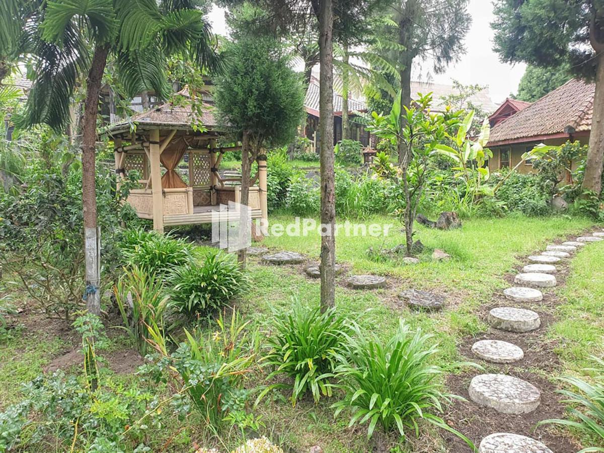 Hotel Yoschi's Bromo at Desa Wisata Bromo Ngadisari Esterno foto